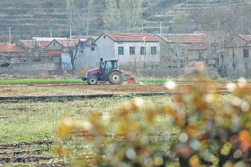 春日田间耕作忙