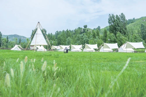 泉城春日露营热 家门口的诗与远方别样精彩