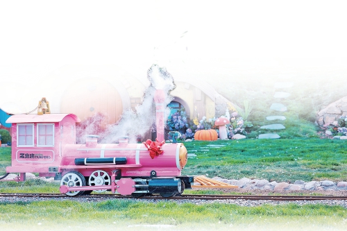 一年四季 泉在济南丨泉城春色关不住 满城芳菲入怀来