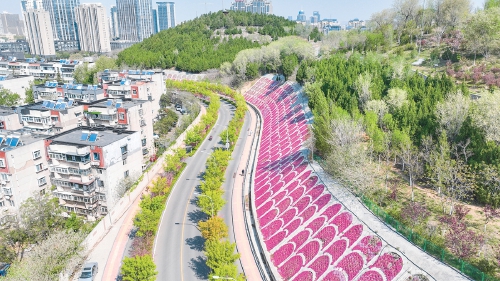 鳌角山山体公园迎来春日盛景 鱼鳞护坡变花堤