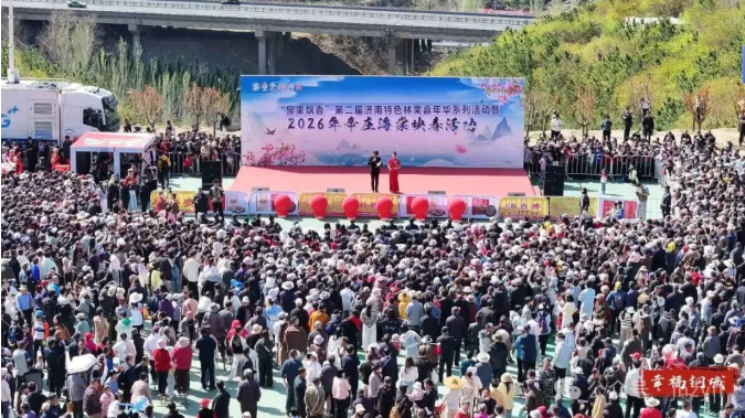 莱芜海棠花映春聚游人金融志愿者花中来防非