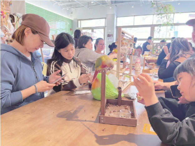 点杯咖啡，再点只鹦鹉——走进济南首家“鹦鹉咖啡融合店”