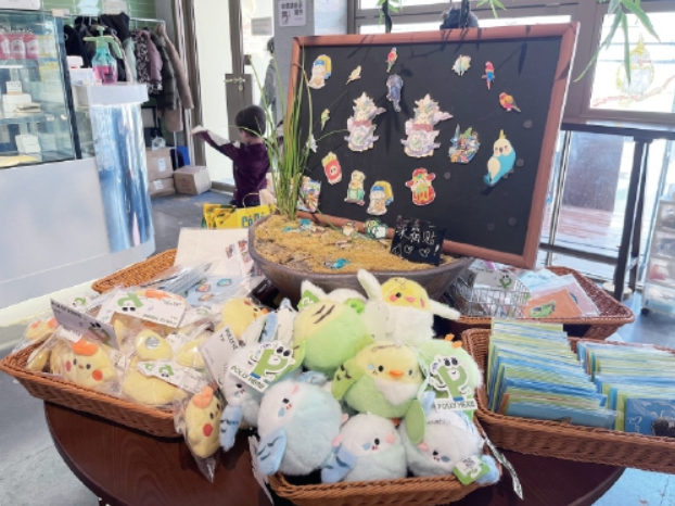 点杯咖啡，再点只鹦鹉——走进济南首家“鹦鹉咖啡融合店”