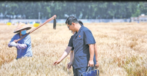 济南法院以培育审判成果精品服务高质量发展——效能组合拳 刷新成绩单