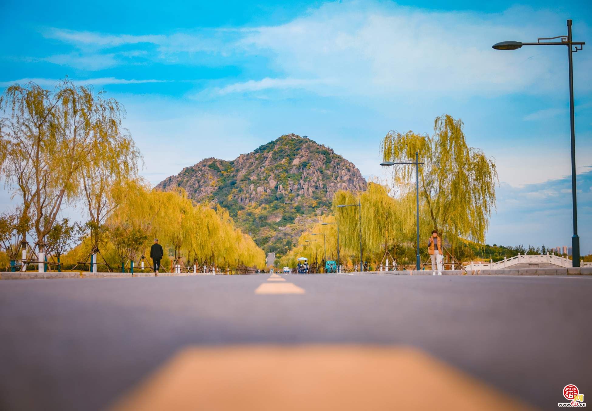 济南市食品药品安全委员会全体会议召开