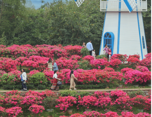 游客漲、預(yù)訂旺 “春日經(jīng)濟(jì)”催熱八桂消費(fèi)市場(chǎng)