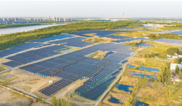 济南首个“渔光互补”光伏项目并网 一地多用催生绿色振兴新动能