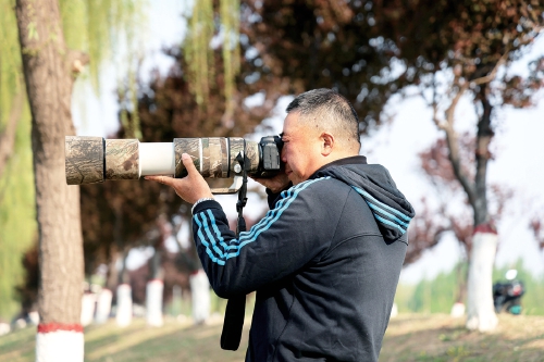 退休了就要有新的生活主题，“盯梢”拍鸟、发社交媒体让他成了辅导员