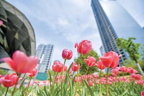 阵风6-7级！济南周末晴好为主，26日傍晚有雷阵雨