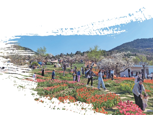 春日近郊游，你赴约了吗？