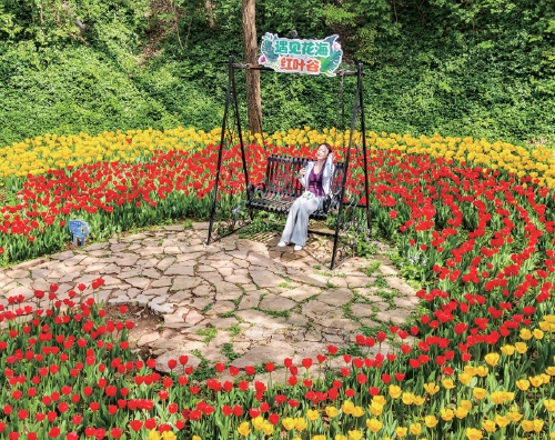 红叶谷百万株郁金香盛放 点亮泉城春日盛景