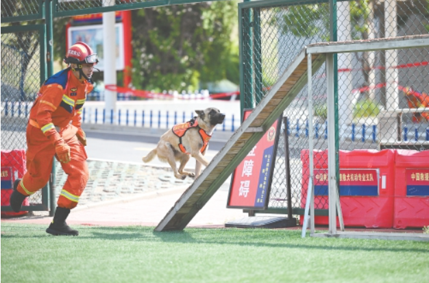 消防搜救犬泉城“大比武”