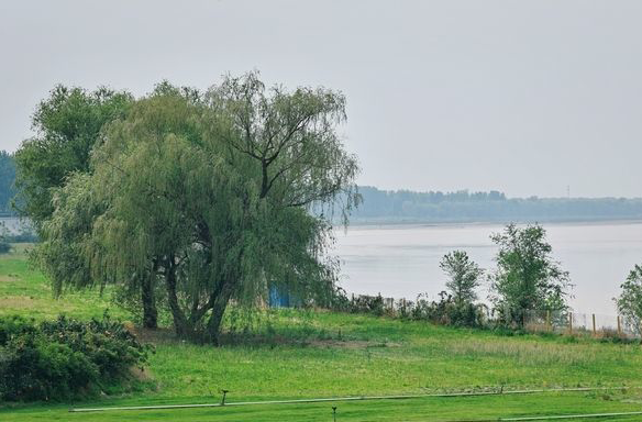 降温来袭！济南天气即将“变脸” 预报周三市区最低气温10℃左右