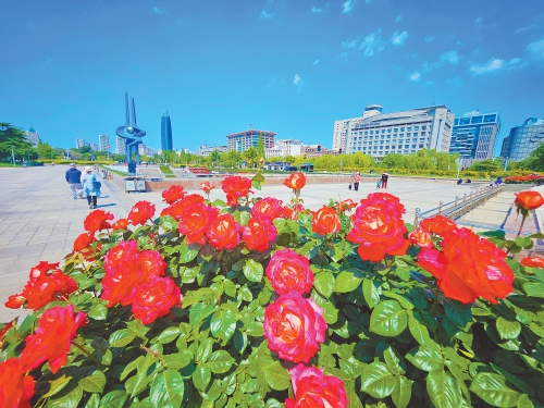 万株鲜花扮靓大客厅