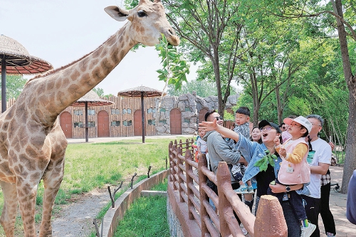假期亲子出游，济南这些地方不能错过！