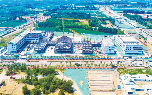 项目强省会｜济南起步区重点小学项目多栋主体结构封顶