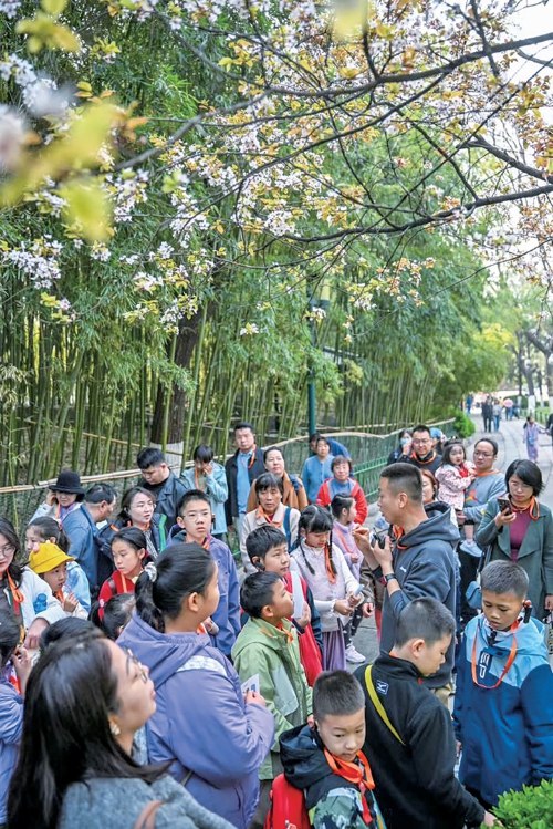 这个“五一”，“植物故事大王”只放了1天假