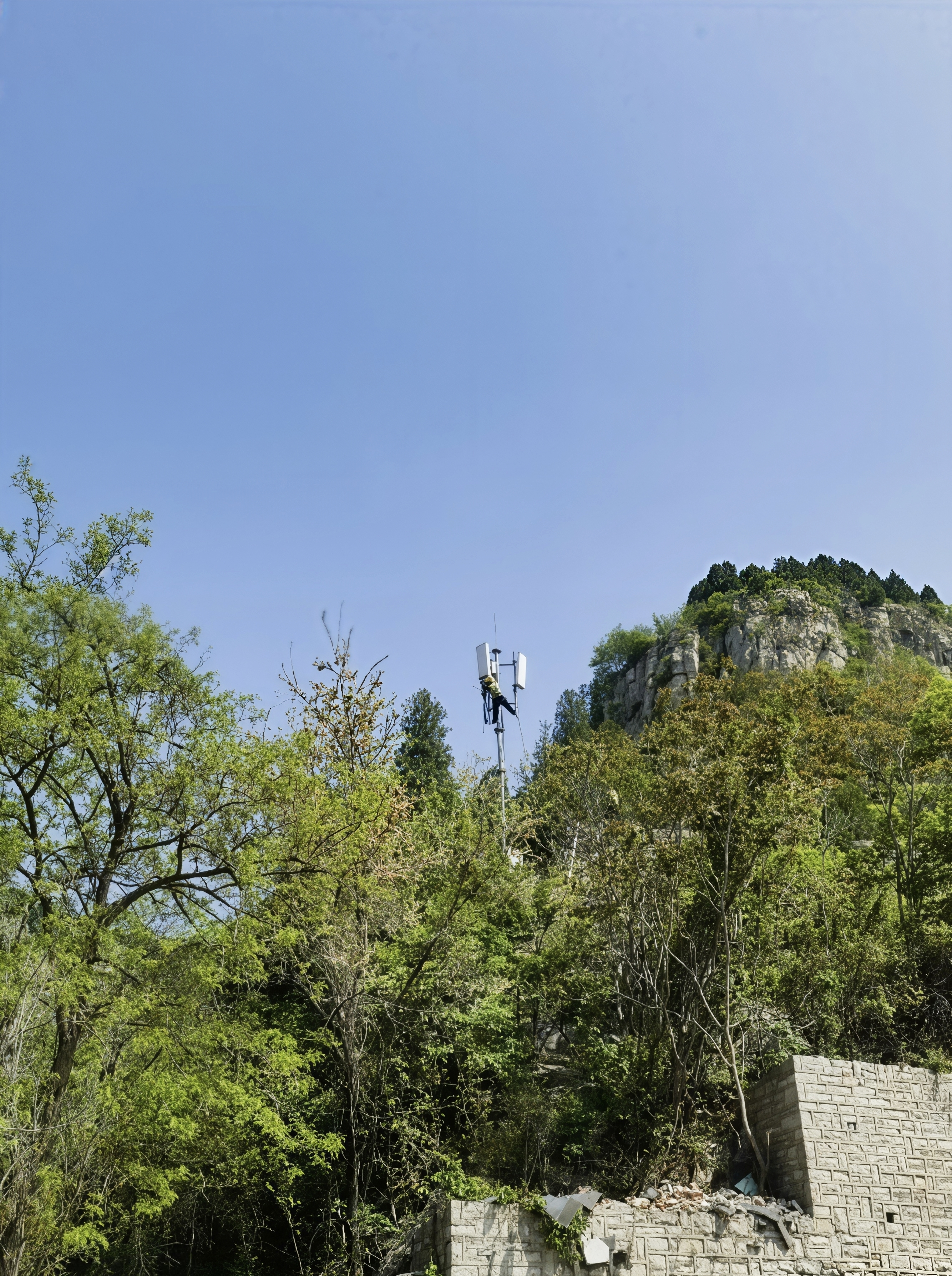 数智“耕耘”正当时,春来信号满山间:济南联通南部山区无线网频率重耕纪实