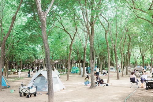 帐篷“扎”进城市绿地 解锁便民休闲空间