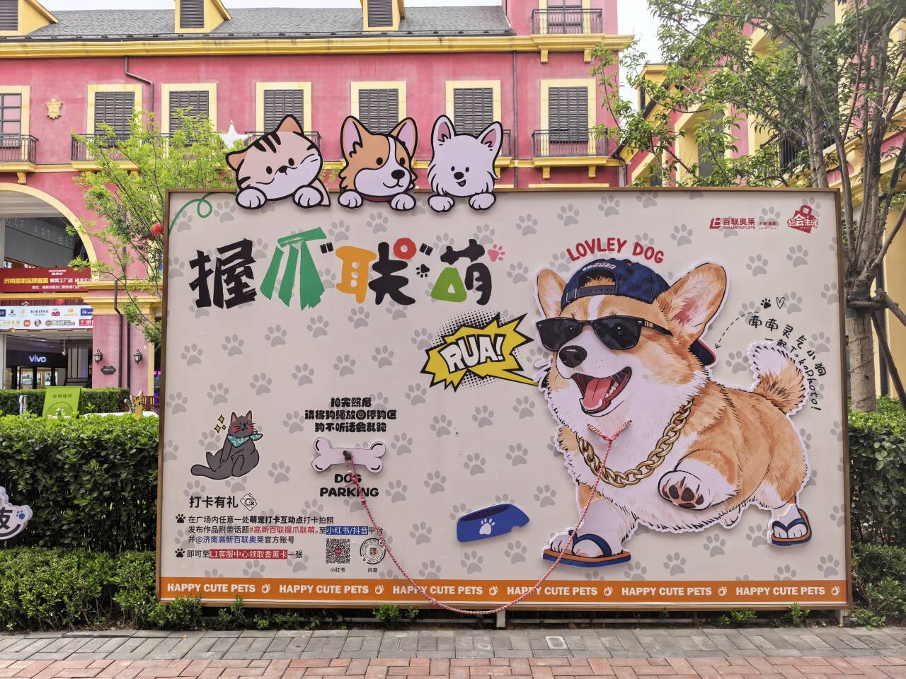 民生民声丨餐盘喂狗风波背后——文明养宠的“破”与“立”