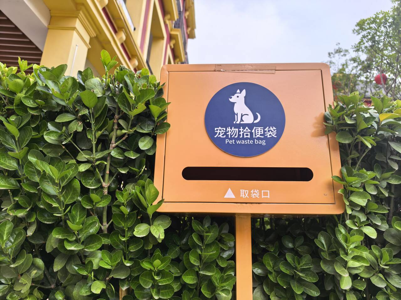 民生民声丨餐盘喂狗风波背后——文明养宠的“破”与“立”