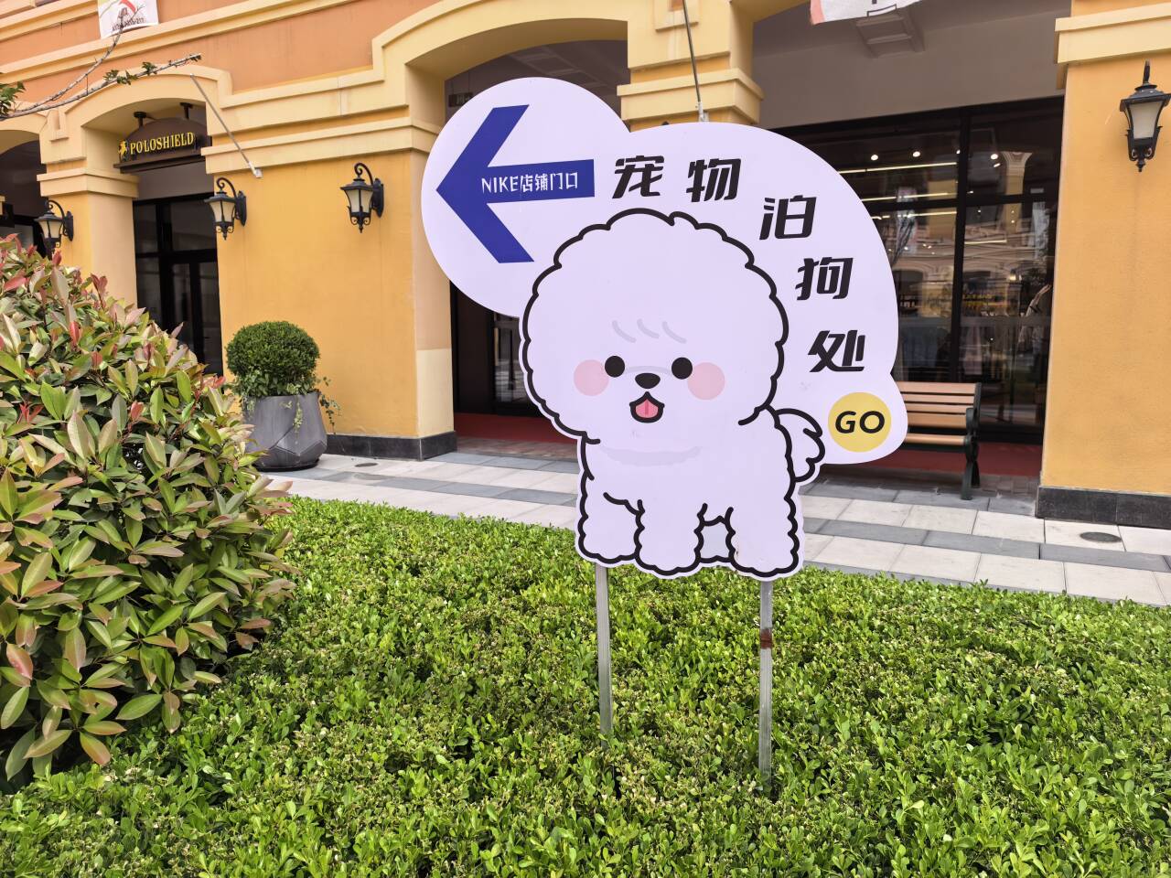 民生民声丨餐盘喂狗风波背后——文明养宠的“破”与“立”