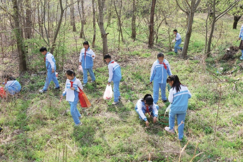 “我的课堂在山里”！这里的小学生能当“药膳师”，也会绘制中草药地图
