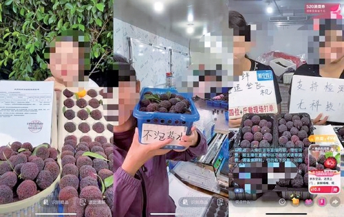 漳州龙海杨梅产地被曝使用违禁防腐剂等　记者探访济南水果市场——销量下降明显，有市场已停进事发产地杨梅