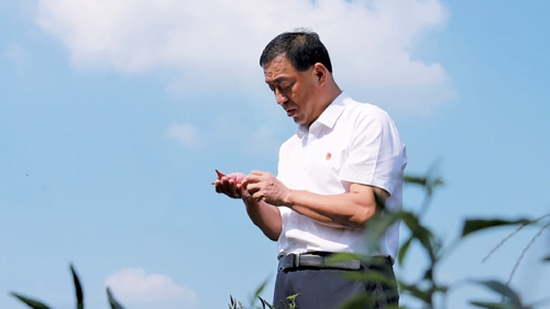 弃商归乡十六载，他把落后村变成了3A景区