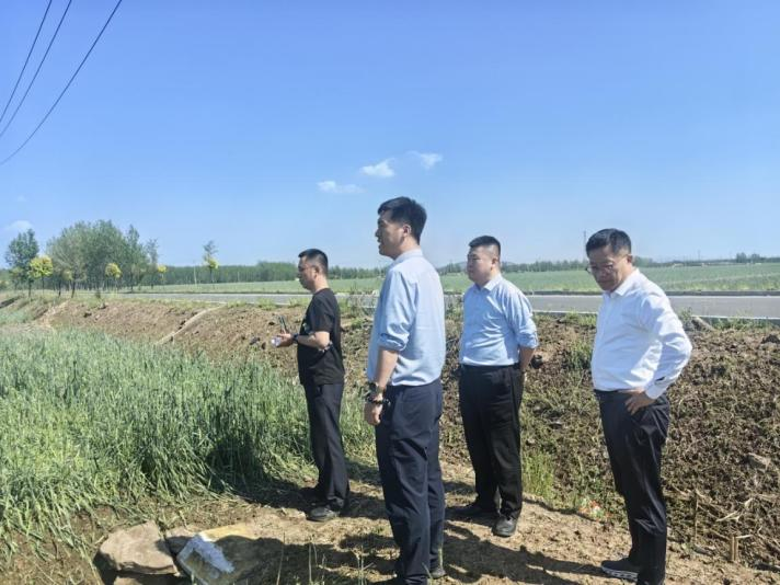 风雨见担当，极速护农安 平安产险山东分公司迅速应对强对流天气，筑牢农业“防风墙”