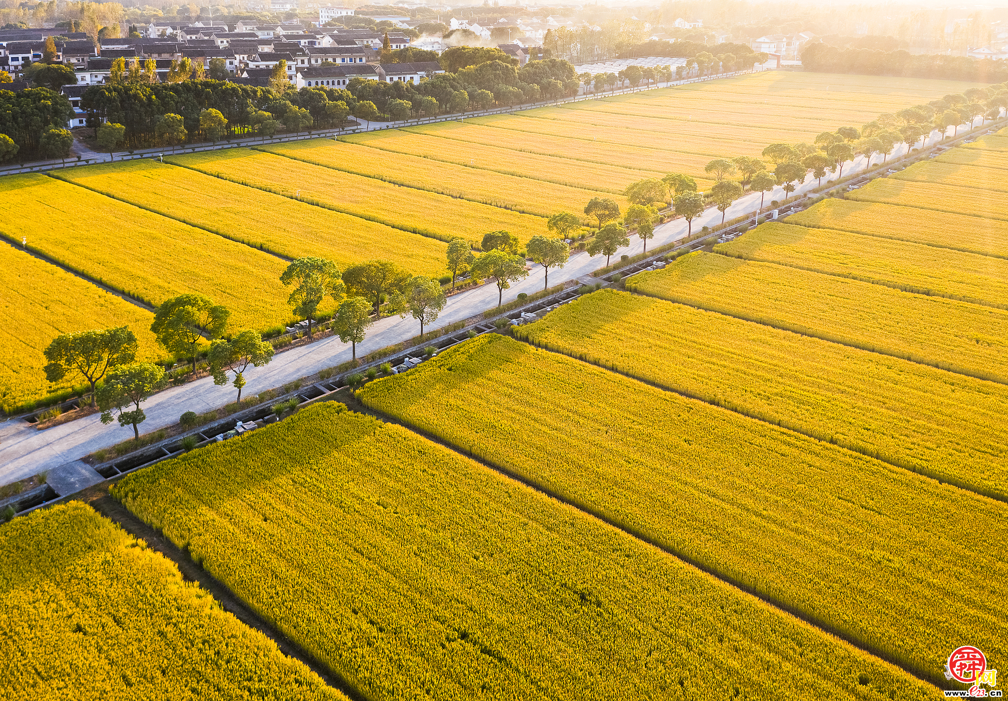 济南市新一轮农村公路提升行动方案公布 到2027年完成19座病险桥梁改造