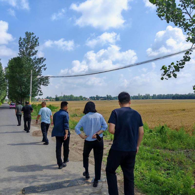 强对流天气致小麦倒伏，平安产险惠民支公司深入田间实地勘察灾情