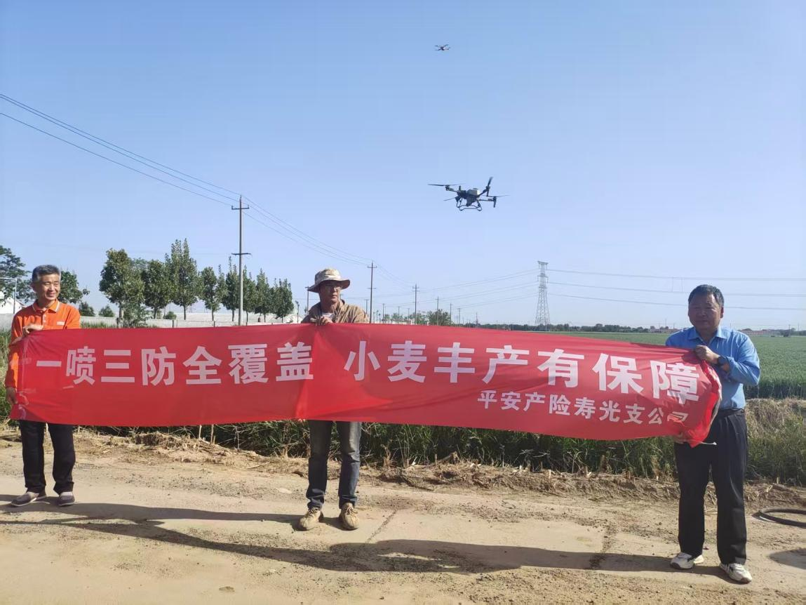 平安产险潍坊中心支公司：指尖预警护农安 防灾减损助丰收