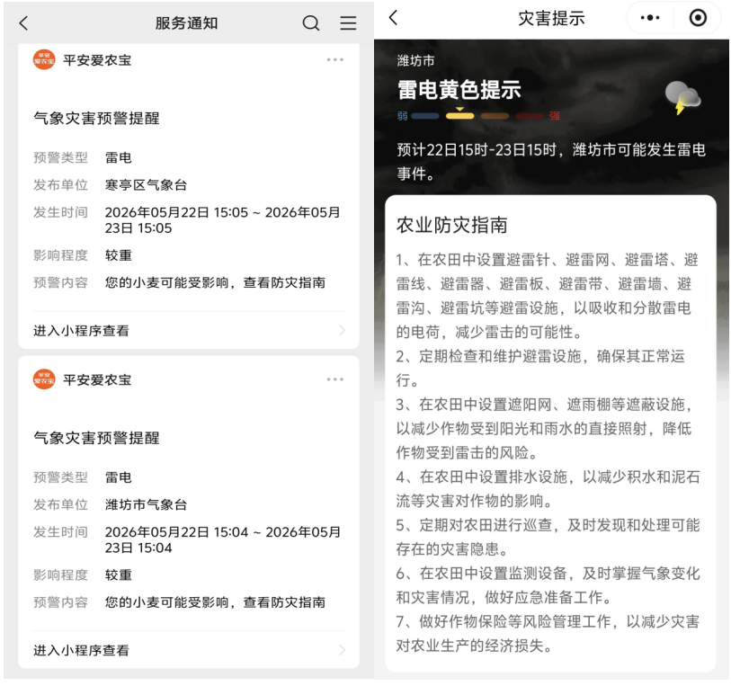 平安产险潍坊中心支公司多措并举应对强降雨天气，筑就农业生产“安全堤