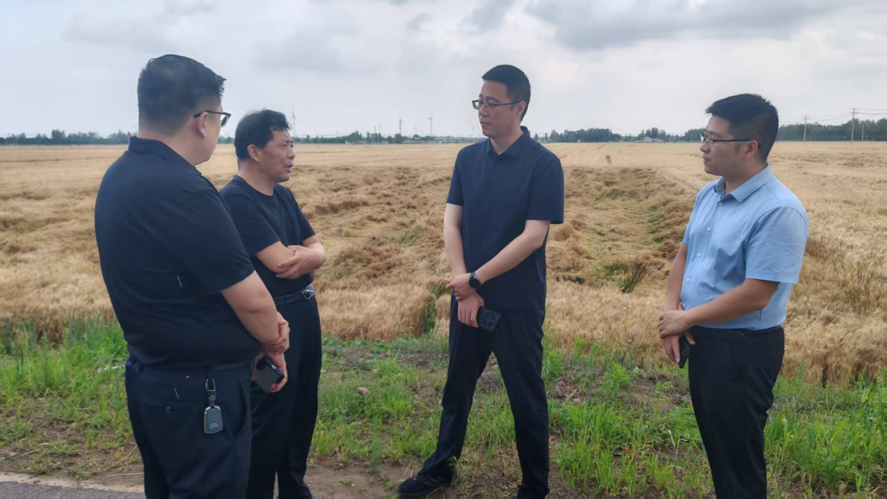 暴雨突袭麦田受灾，平安产险德州中心支公司火速 驰援、高效理赔纾解农户愁忧