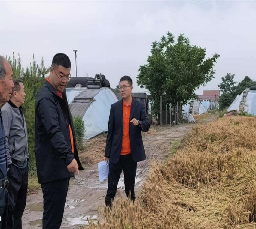 平安产险潍坊中心支公司极速响应，下沉田间查勘，护航夏粮丰产
