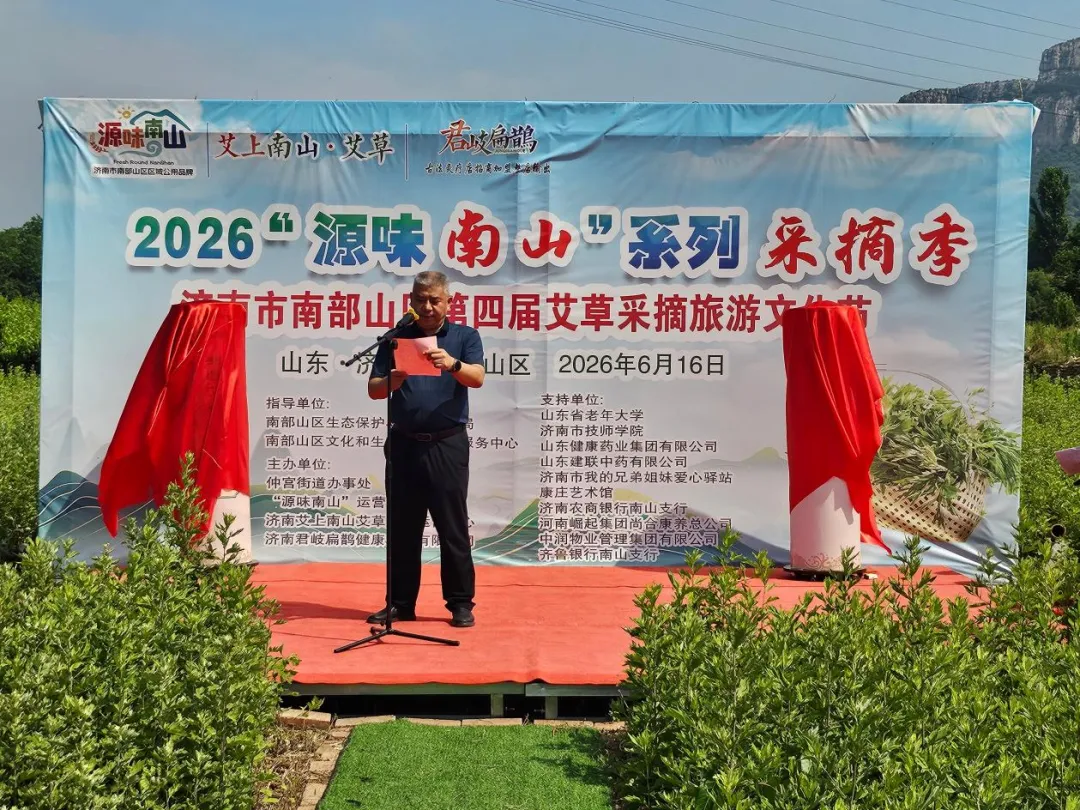 种下“富民草”  长出“黄金叶”——仲宫街道举办第四届艾草采摘旅游文化节