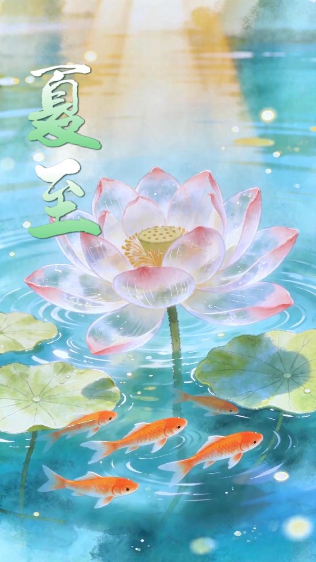 夏至｜昼长至，盛夏始