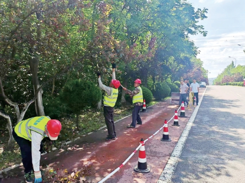 听民声解民忧 办实事暖人心 历城区高效处置民生诉求提升城市治理水平