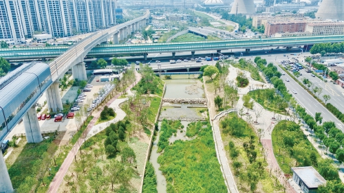 奥体西路旁大辛河两岸：城市滨水“幸福廊道”