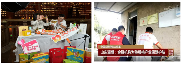 践行金融五篇大文章，绘就普惠金融新画卷——平安产险山东分公司助力乡村振兴实践案例