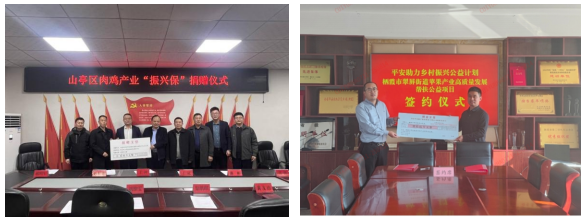 践行金融五篇大文章，绘就普惠金融新画卷——平安产险山东分公司助力乡村振兴实践案例