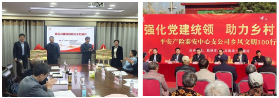 践行金融五篇大文章，绘就普惠金融新画卷——平安产险山东分公司助力乡村振兴实践案例