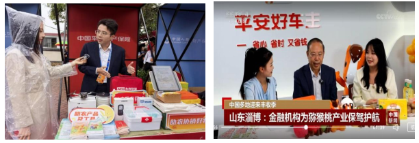 践行金融五篇大文章，绘就普惠金融新画卷——平安产险山东分公司助力乡村振兴实践案例