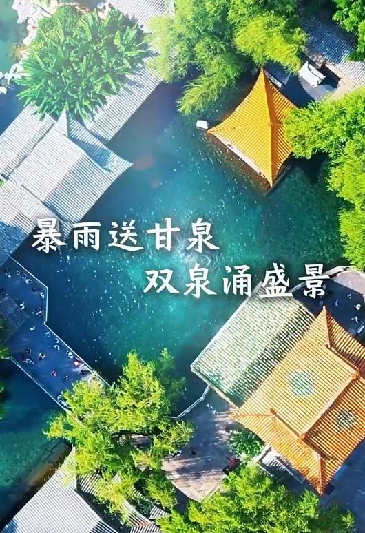甘雨润泉城 清夏赏芙蓉