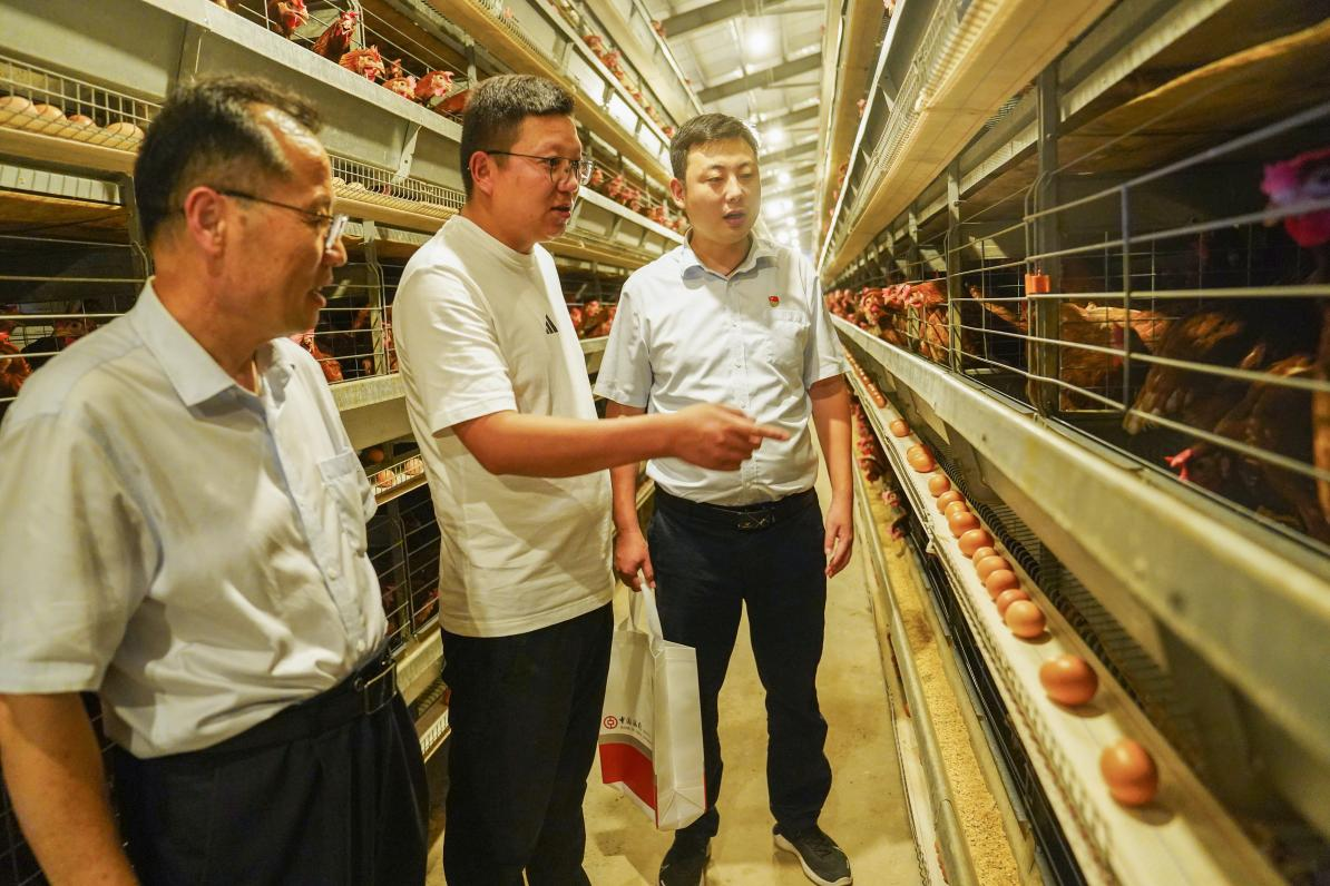 中国银行山东省分行：一渠活水润齐鲁 沃土生金满粮仓