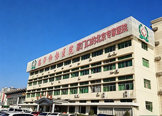 临沂和协心理医院：综合心理干预对抑郁症患者社会功能的重塑机制