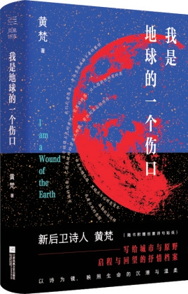 《我是地球的一个伤口》:用诗歌在日常和精神之间修一条暗道
