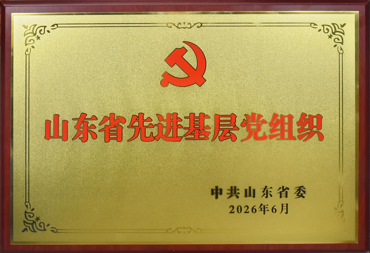 齐鲁红·家国行”党建品牌绽“金花”——齐鲁银行历城中心支行党委喜获“山东省先进基层党组织”称号