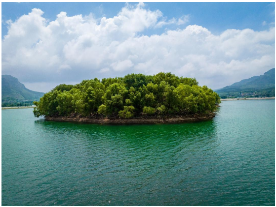 山东好景｜卧虎山水库的另一种“容颜”